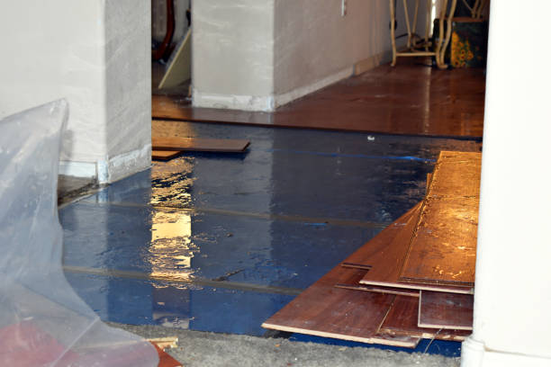 Professional Basement Flood Cleanup technician working in Narragansett, RI